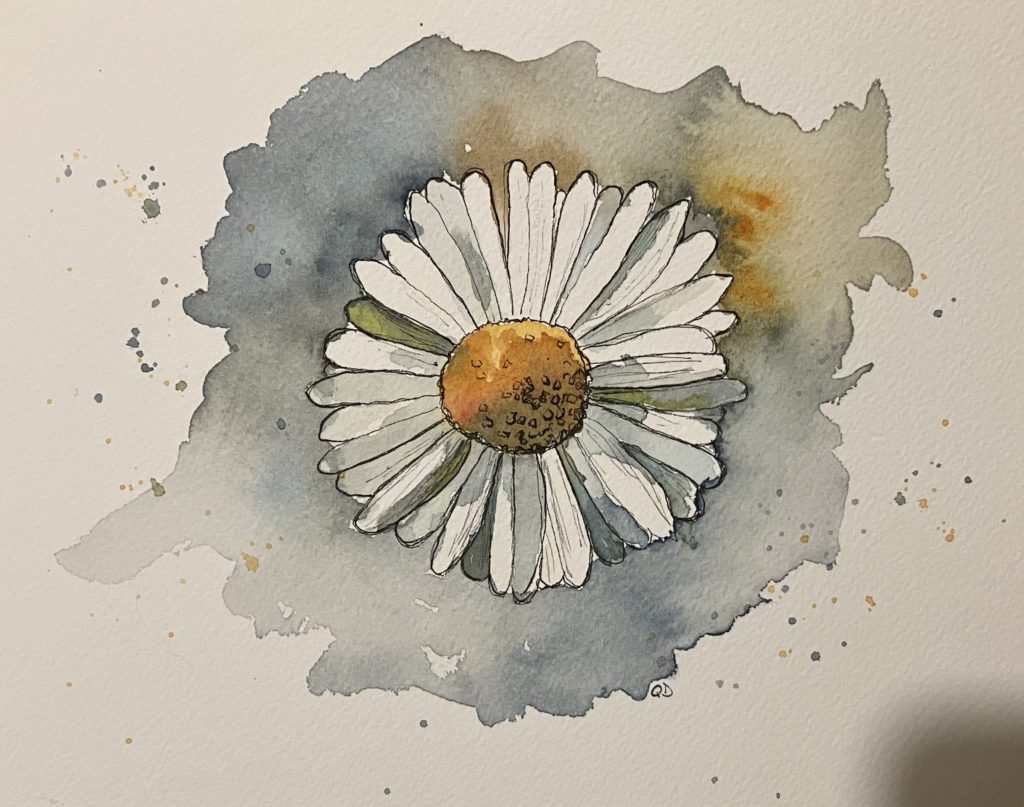 Watercolor painting of a daisy