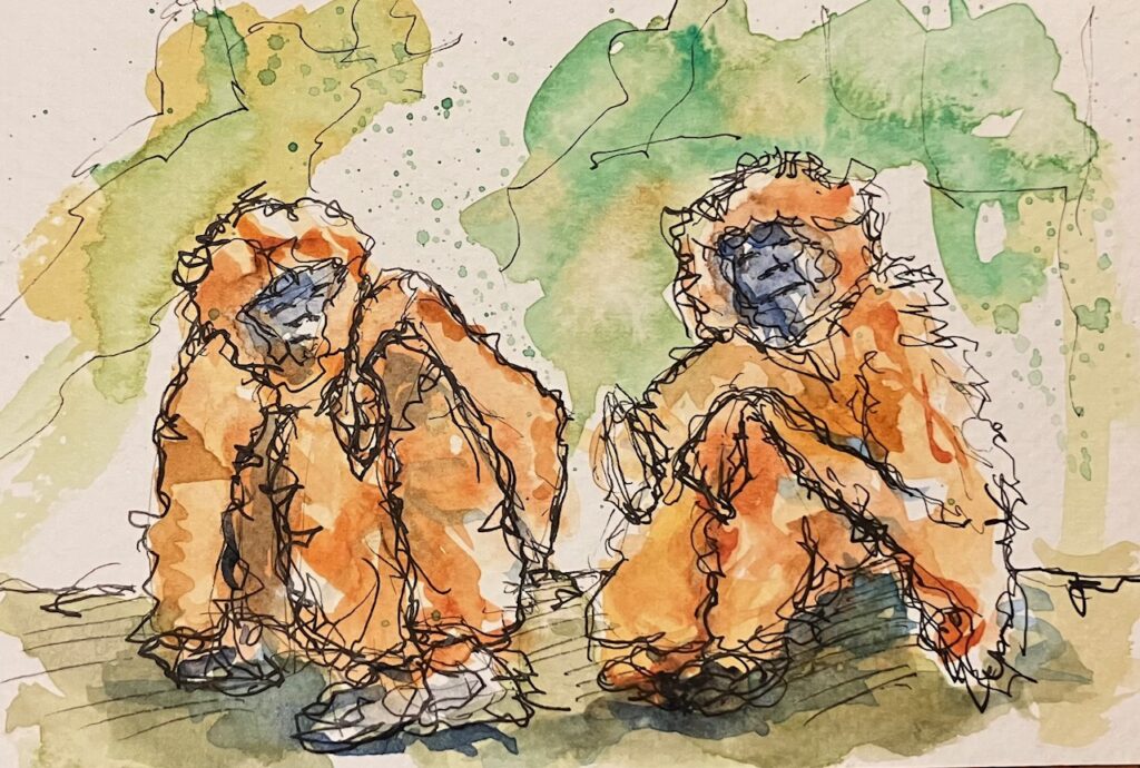 Wonky drawing of two gibbons